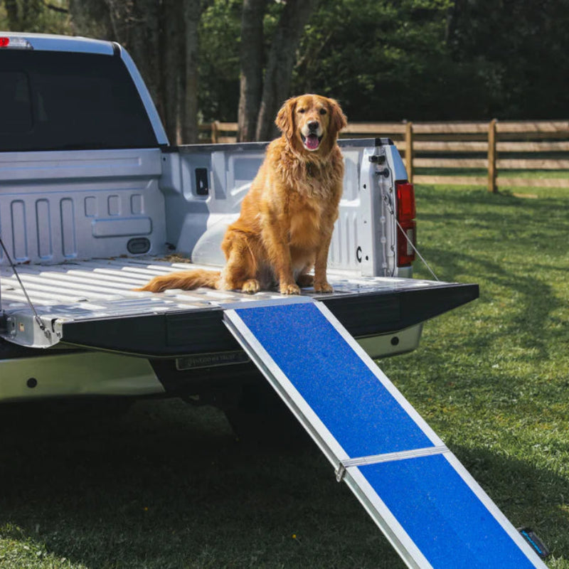 FOUR RUNNER™ Portable Pet Ramp by EZ-ACCESS