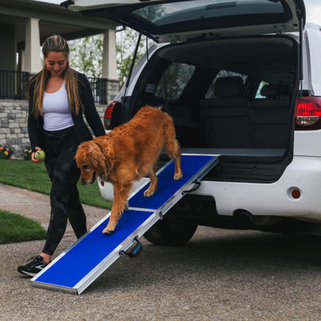 FOUR RUNNER™ Portable Pet Ramp by EZ-ACCESS5