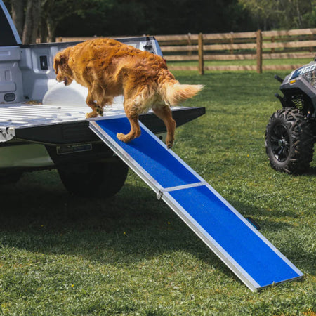 FOUR RUNNER™ Portable Pet Ramp by EZ-ACCESS7