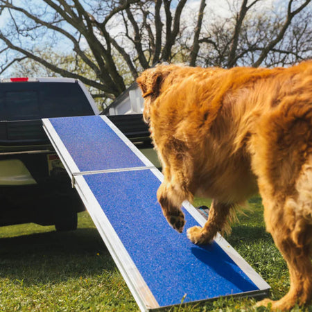 FOUR RUNNER™ Portable Pet Ramp by EZ-ACCESS9
