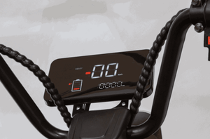 EW-12 Recreational Electric Scooter - Digital Batter Gauge | Wheelchair Liberty