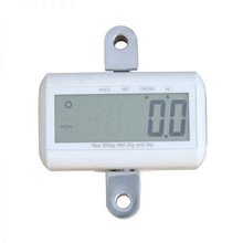 Weighing Scale - Eva Floor Mobile Patient Lifts By Handicare | Wheelchair Liberty